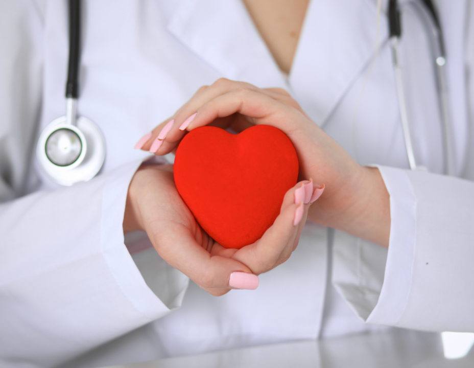 medical professional holding a red heart shape