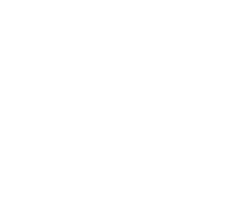 Crown Delivery Driver icon