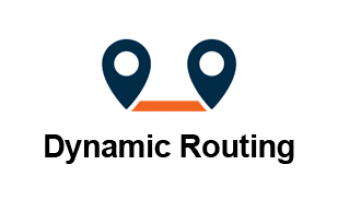 dynamic-routing dynamic-routing